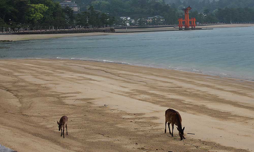 miyajima