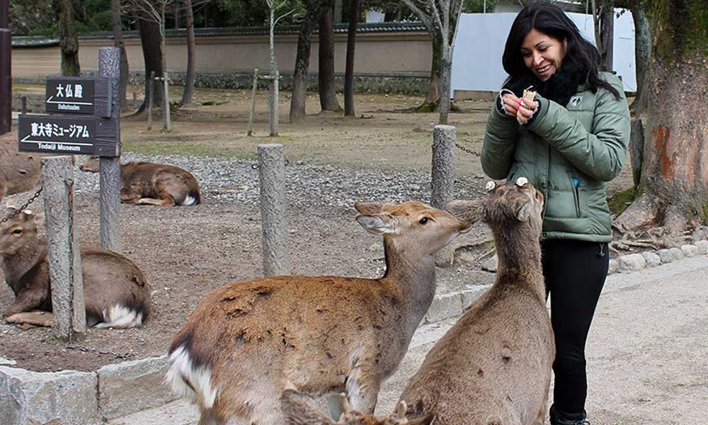 visitar-nara