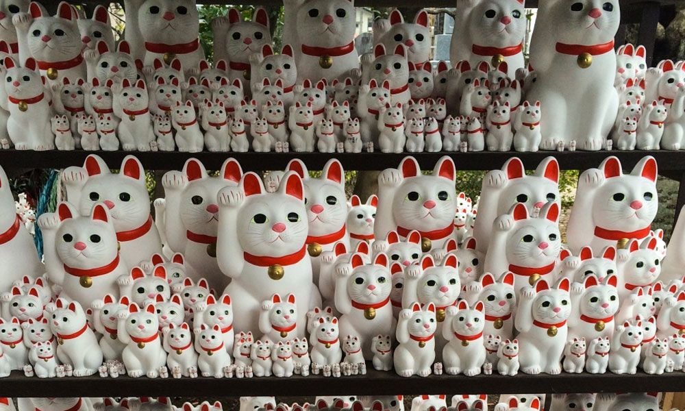 templo-gatos